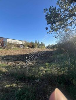 Çatalca Elbasan Köy İçinde Mükemmel Arsa