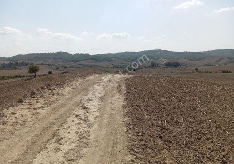 Akkuyu Da Yatırımlık 796 M2 İmara Açılacak Bölge De