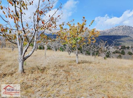 New Form'dan Toroslar Sadiye Köyü'nde 9100 M2 Satılık Tarla