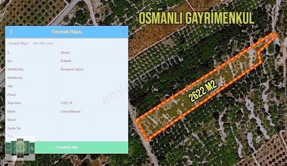 Erdemli Esenpınar Ağlıcada 2622 M2 Satılık Limon Bahçesi