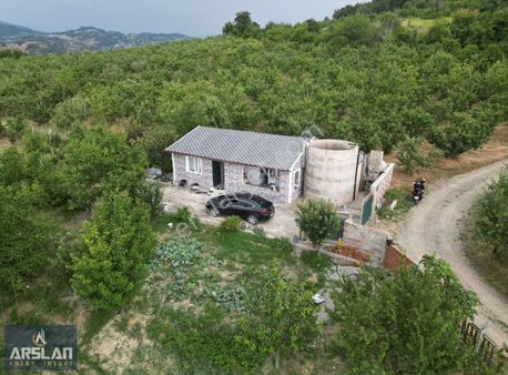 Arslan Emlak'tan İnegöl Hamamlı'da Satılık 4600 M² Meyve Bahçesi