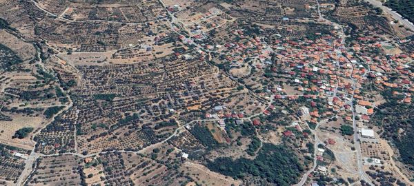 Goldhouse Dan Satılık Tarla Manzaralı Ve Havadar Zeytinlik