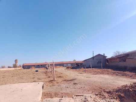 Akçay Emlak'tan Akşehir Ortaköy Mahallesinde Kurulu Düzende Satılık Çiftlik