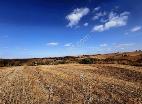 Banarlıda Meraya Sıfır 4250m2 Tarla Çiftlik Yapımına Uygun