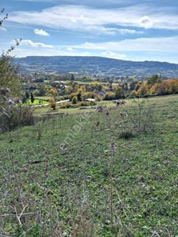 Samsun Sarıtaş Köyü'nde 6112 M2 Doğa Ve Deniz Manzaralı , Şehrin Hemen Yanında, Satılık Arazi!