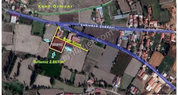 İlbey // Şuhut Taşlıca Mahallesi İmar Sınırında 2865 M² Tarla