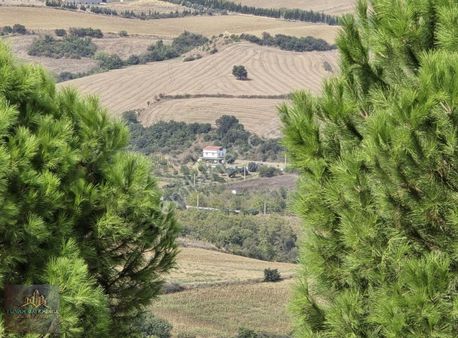 Tekirdağ Süleymanpaşa Yeniköy'de 453 M2 Müstakil Satılık Tarla