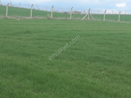 Satılık Arsa Boyalık Mahallesi