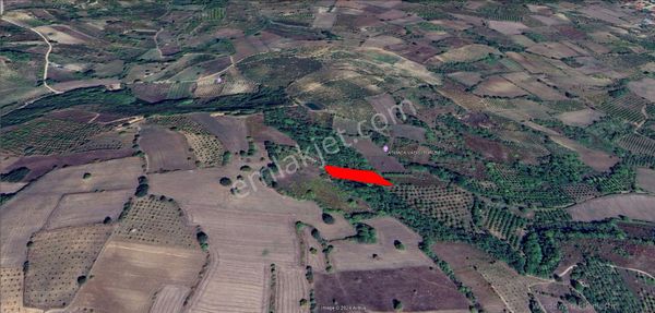 Roma' Dan Ortaköy De Satılık Tarla