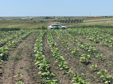Hicret Emlaktan Ediren Havsa Köseömer Mah Satılık Tarla