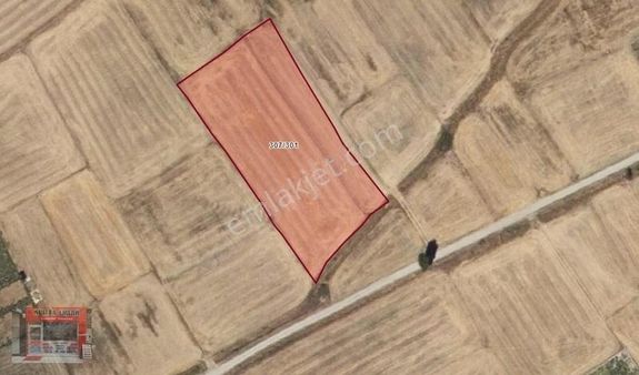 Seydişehir Bostanderede Satılık Bahçe Yeri