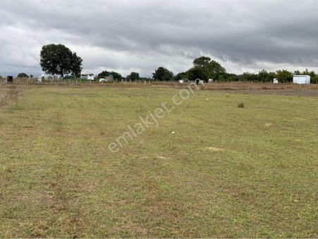 Kapaklı Pınarca Mahallesinde 1610 Metre Tek Tapu Satılık Tarla