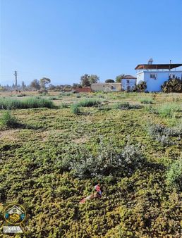 Torbalı Subaşında Satılık İmarlı Fırsat Arsa 412 M2