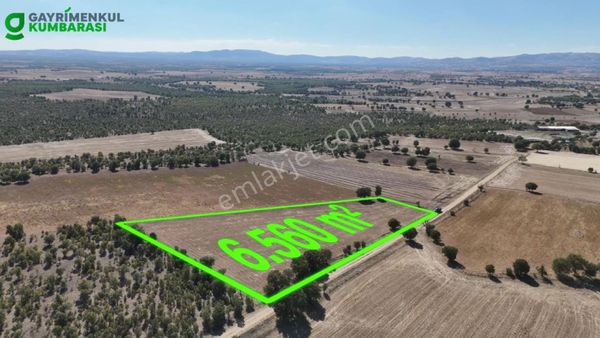 Uşak Çokaklı Mah. Ana Yola Yakın 6.560 M2 Müstakil Arazi