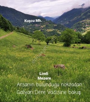 Kamer'den Trabzon,maçka Kuşçu Mah'de Satılık Arazi