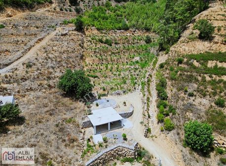 Antalya Gazipaşa Kızılgüney Mahallesinde Satılık 3600m2 Tarla