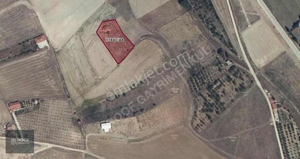 Emirceoğlunda Satılık Tarla Ve Müstakil 2500m2