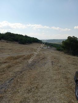 Aliağa Bozköy Satılık Tarla