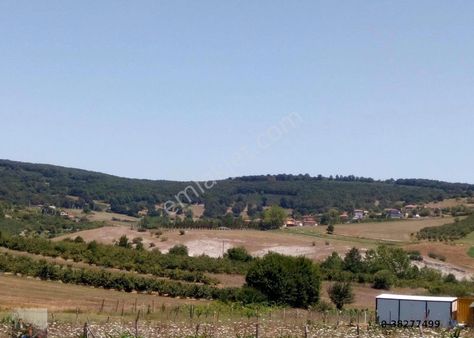 Acil Satılık Tarla