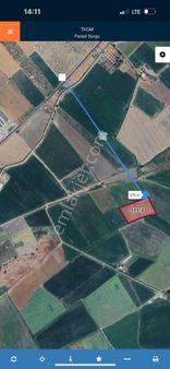 Ürperler Tavuk Çiftliği Karşısı