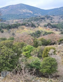 Çanakkale Gökçeada Öz Emlak'tan 3 Dönüm Uygun Tarla