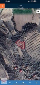 Bilecik Selbükü Satılık Arazi