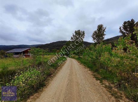 Kestel Gölcükte Doğa İçinde Etrafı Çevrili Hazır Hobi Bahçesi
