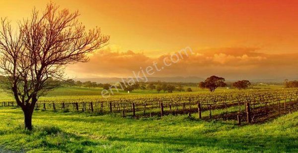 ꧁꧂emre Emlaktan꧁꧂cittaslow Kenti Güdül Güneyce'de Satılık 416 M2 İmarlı Satılık Arsa