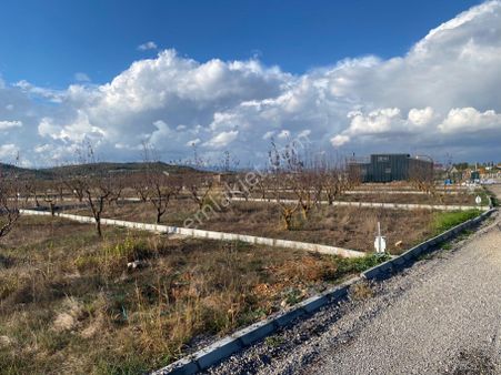 Menderes Merkeze 5 Km Mesafede Satılık Harika Konumlu Bahçeler