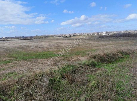 Tekirdağ Saray Pazarcık Satılık Tarla