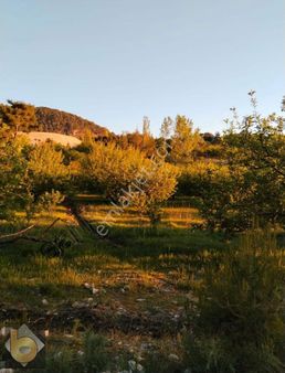 Seydikemer Bağlıağaç Köyünde 2.888m2 Tarla