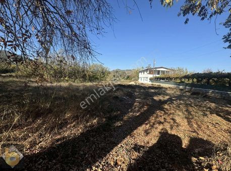 Kaya Da 3 Dönüm Satılık