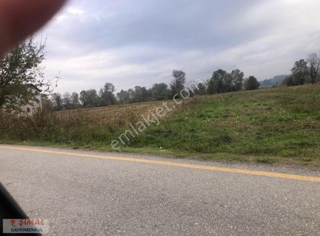 Sakarya Arıfıye Çaybası Fuadıyede Satılık Arazi