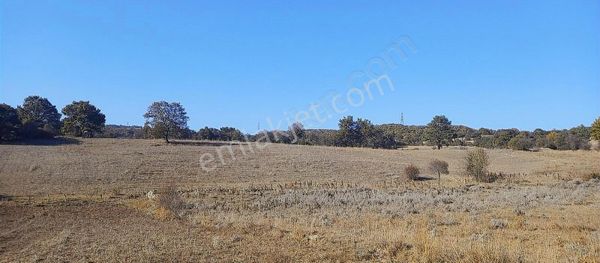 Odak^tan Gürağaç Cevizli^de Hesaplı Yatırımlık Tarla