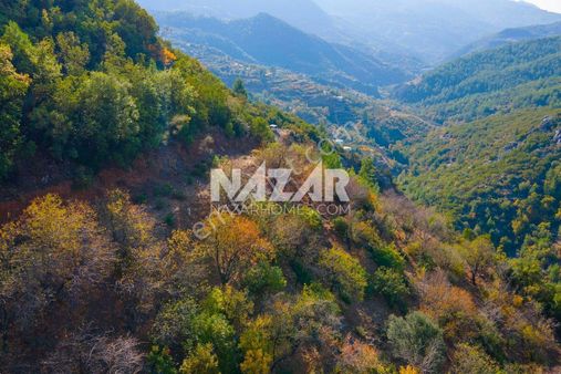 Gazipaşa Doğanca Köyü’nde Satılık 8.552 M² Tarla