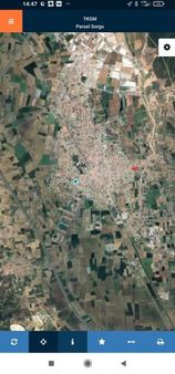 Muratbey Mahallesinde Tarım Arazisi