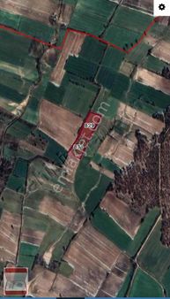 Koyunbaba Bitişik 2 Parsel 2 Tapu 8700 M2 Satılık Tarla