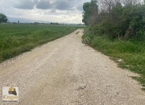 Aslanlar Köyü Imara Yakın 6 Dönüm Elektrik Su Yol Olan Tarla