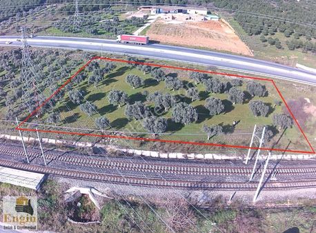 Torbalı Aslanlar Köyünde Bayındır Asfaltına Sınır Zeytinlik