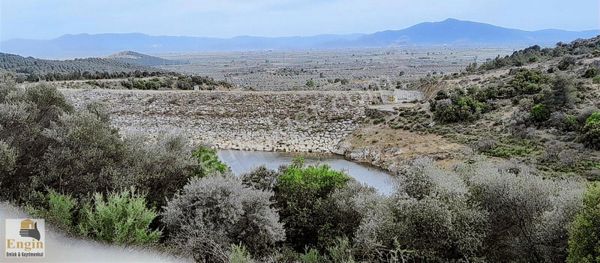 37 Dönüm Kelepir Zeytinlik
