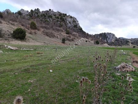 Beyşehir Çetmi Satılık Tarla