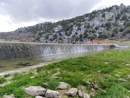 Beyşehir Çetmi Uygun Fiyat