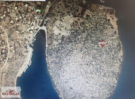 Milas Kıyıkışlacıkta 950 M2 Zeytinlik Mkd Emlaktan