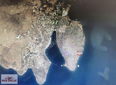 Milas Kıyıkışlacıkda Denize Sıfır 3752 M2 Zeytinlik Mkd Emlak