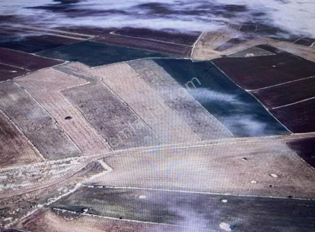 Fırsatt!! Eskişehir Cevizlide 6 Dönüm Yol Cepheli Tarla