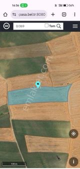 Tekirdağ Süleymanpaşa Kılavuzlu Mah 16900m2 Satılık Tarla