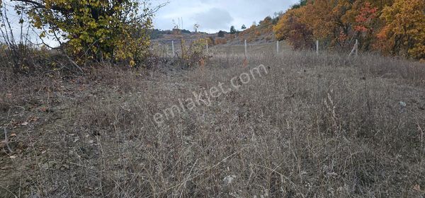 Tarakli Haci Yakupta Satlik Bahçe