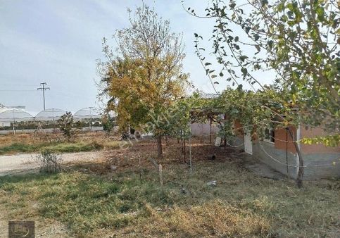 Yaman Emlak'tan Satılık Arsa 2000m2