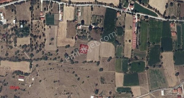 Afyonkarahisar Salar'da 928 M² Satılık Bahçe!