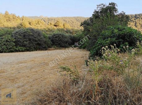 Yol Su Elektrik Mevcut Bilecik Söğüt Çaltı Seracılık İçin İdeal